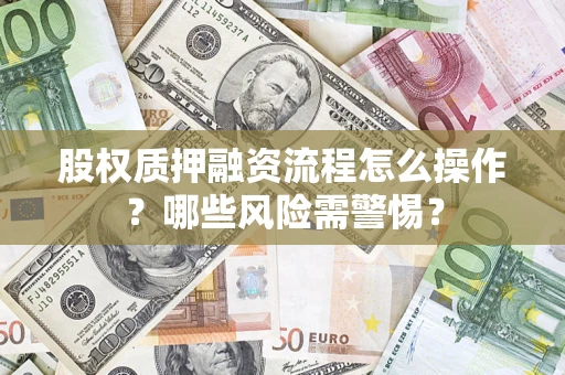 武汉股权质押融资流程怎么操作？哪些风险需警惕？