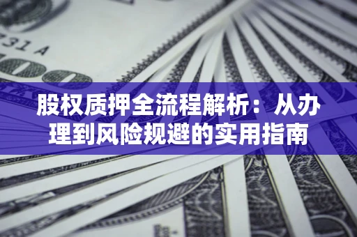 武汉股权质押全流程解析：从办理到风险规避的实用指南