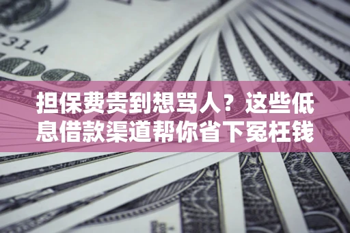 武汉担保费贵到想骂人？这些低息借款渠道帮你省下冤枉钱