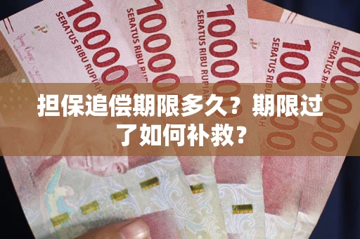武汉担保追偿期限多久？期限过了如何补救？