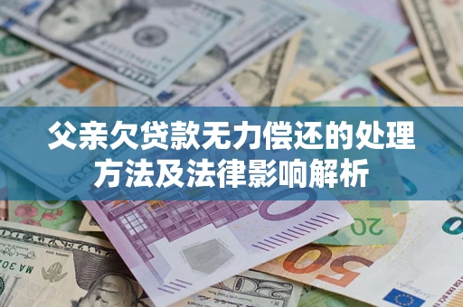 武汉父亲欠贷款无力偿还的处理方法及法律影响解析