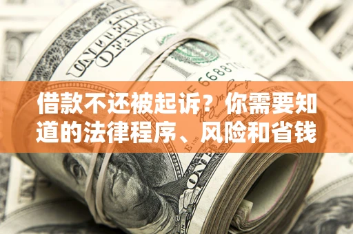 武汉借款不还被起诉？你需要知道的法律程序、风险和省钱技巧